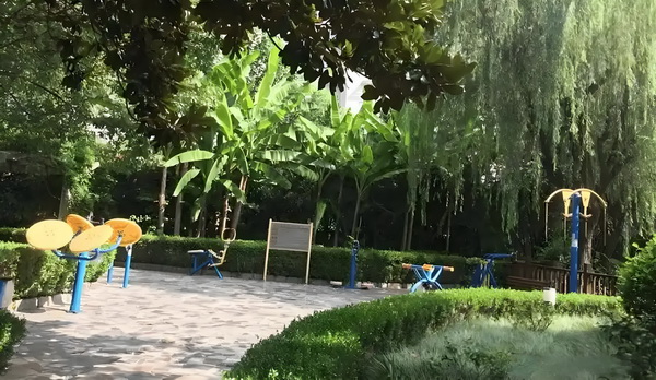 深圳人才积分入户政策_《你行！你上！》：弹琴吧！爸爸 快车撞上城际一辆野猪